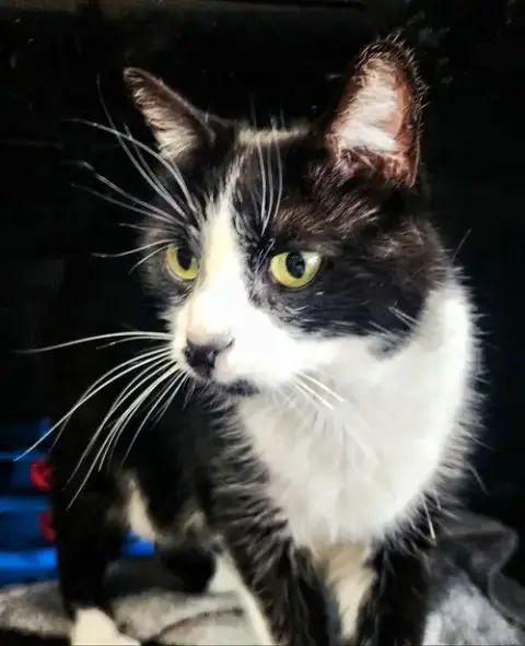Hope photo 3