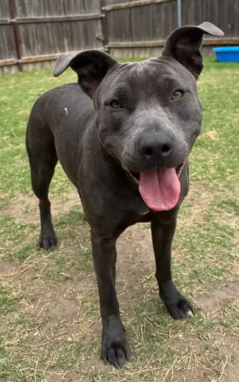 Stormi