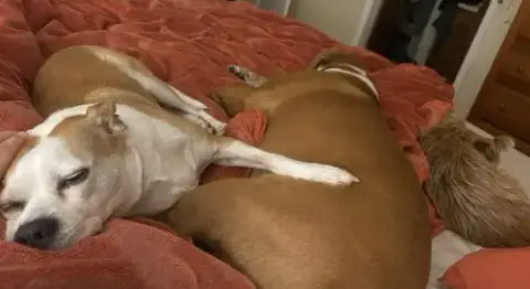 Sandy photo 2