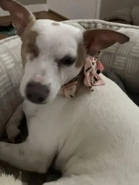 Cleo photo 3