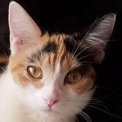 Rosie