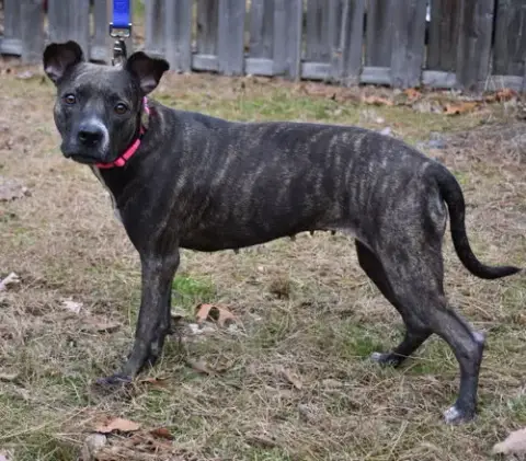 Mika photo 2