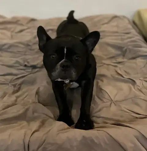 Lola photo 3