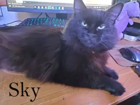 Sky