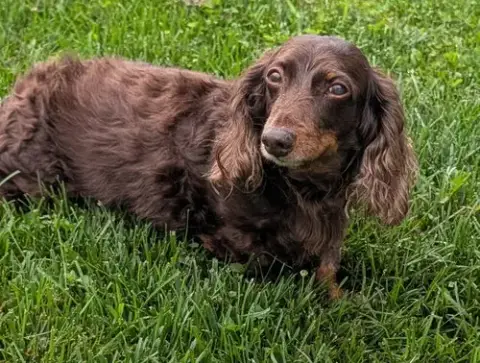 Winston Aka Winnie In Ny photo 2