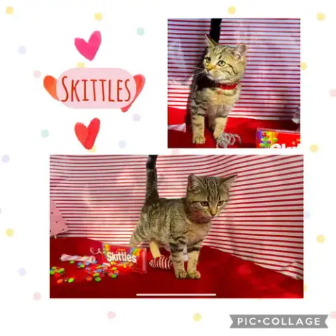 Skittles