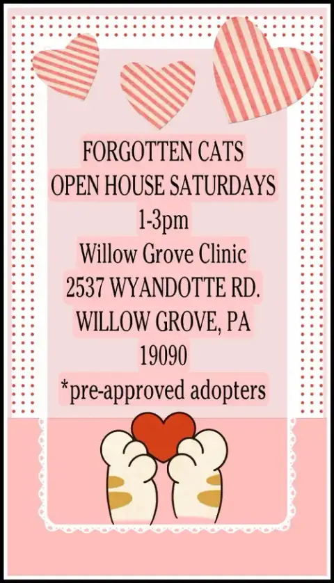 Willow Grove Pa Clinic/Shelter Open House July 11 photo 2