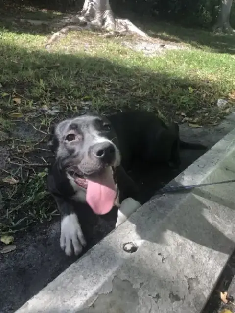 Fiona photo 5