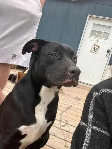 Betty