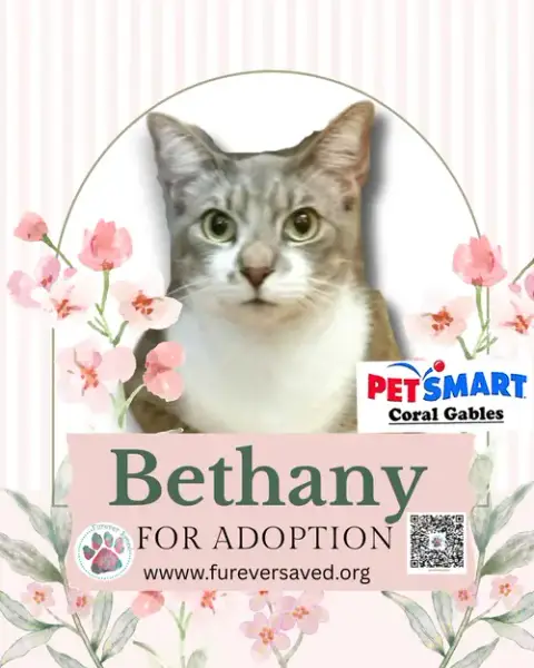 Bethany photo 2