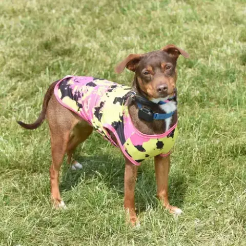 Penny Scas photo 3