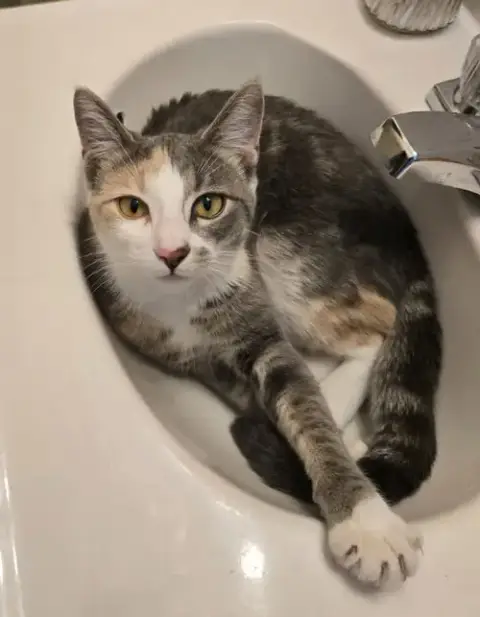 Peaches photo 3