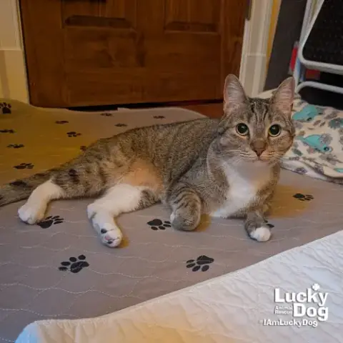Lucille photo 2