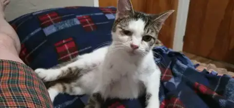 Frosty photo 2
