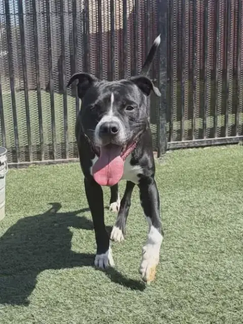 Titus photo 3