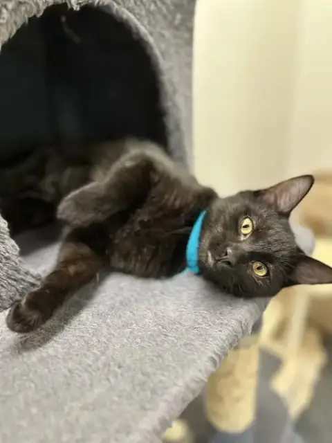 Ella photo 3