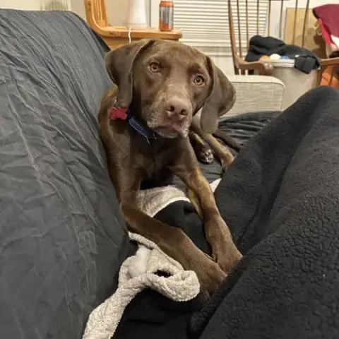 Buddy photo 3