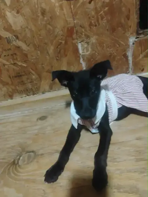 Zena photo 2