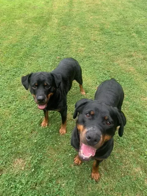 Jada photo 3