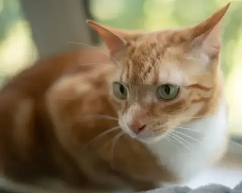 Butters photo 3
