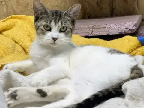 Winnie