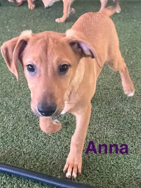 Anna photo 5