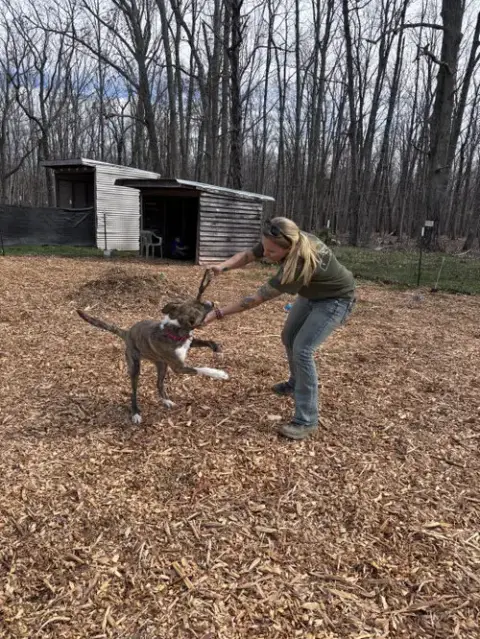 Sophia: Not At The Shelter photo 3