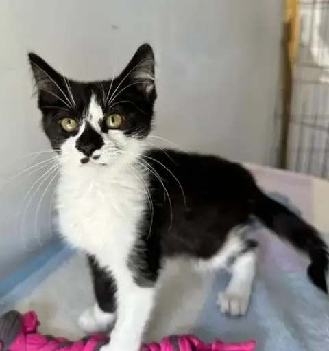 Milo photo 2