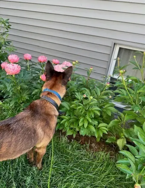 Sassy  Located In New Jersey photo 3