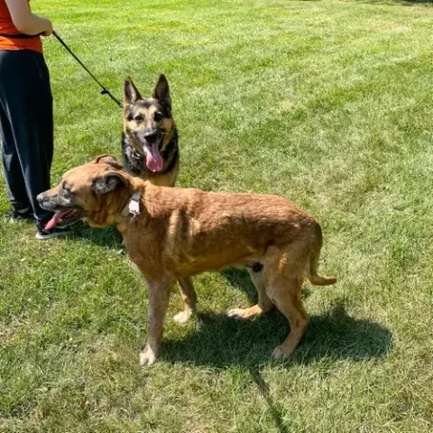 Jasper photo 4