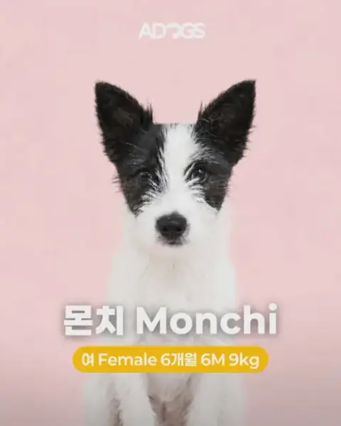 Monchi photo 3