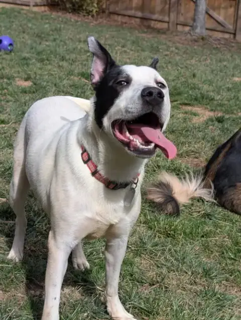 Parker photo 3