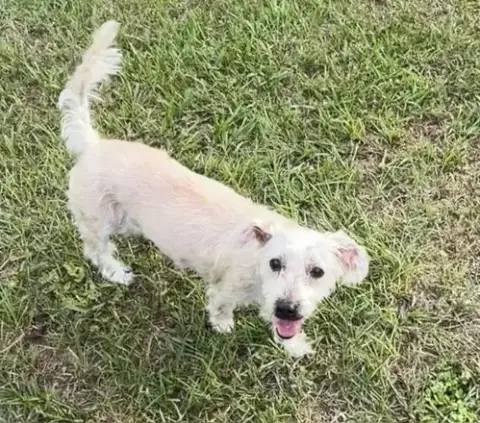 Molly photo 2