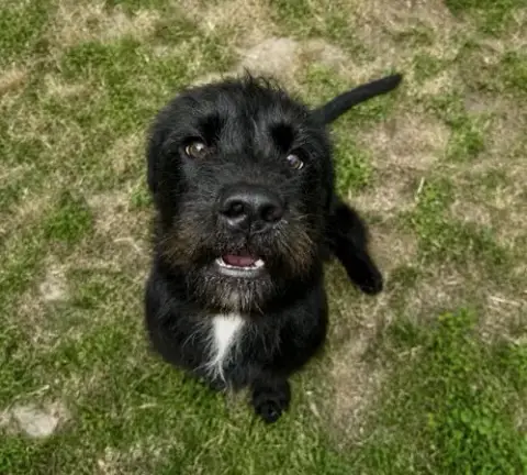 Fletch photo 2