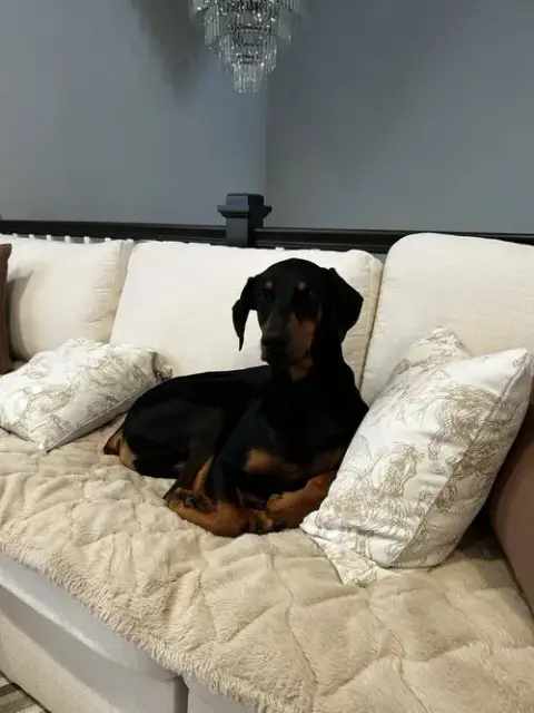 Killian