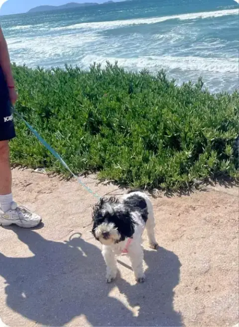 Sacha photo 5