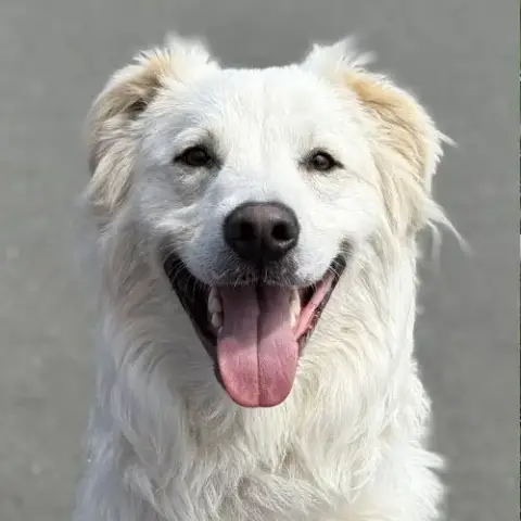 Riley