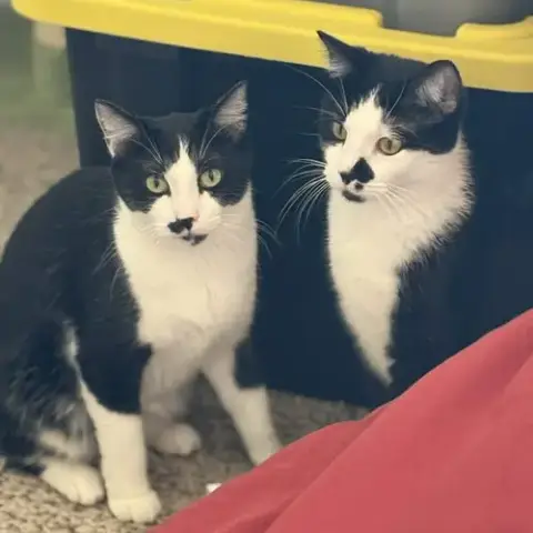 Lefty And Righty
