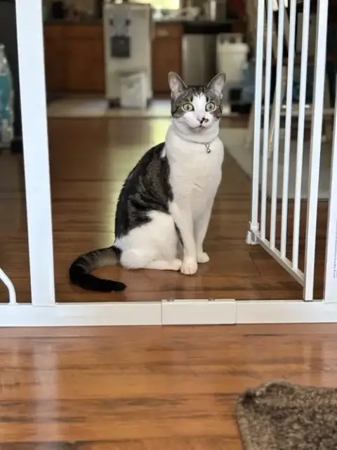 Rosie